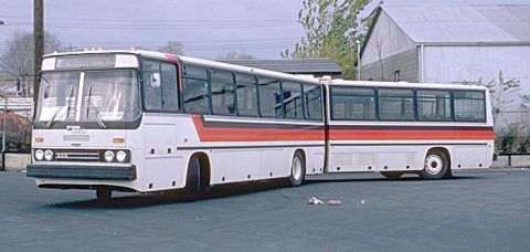 Gallery Ikarus buses