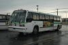 MTA_Bus_5916_ex-Green_Bus_Lines_1161.jpg