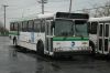 MTA_Bus_5955_ex-Green_Bus_Lines_5518.jpg