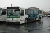 MTA_Bus_5968_ex-Green_Bus_Lines_5531.jpg