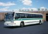 Greenbus263_jpg-vi.jpeg